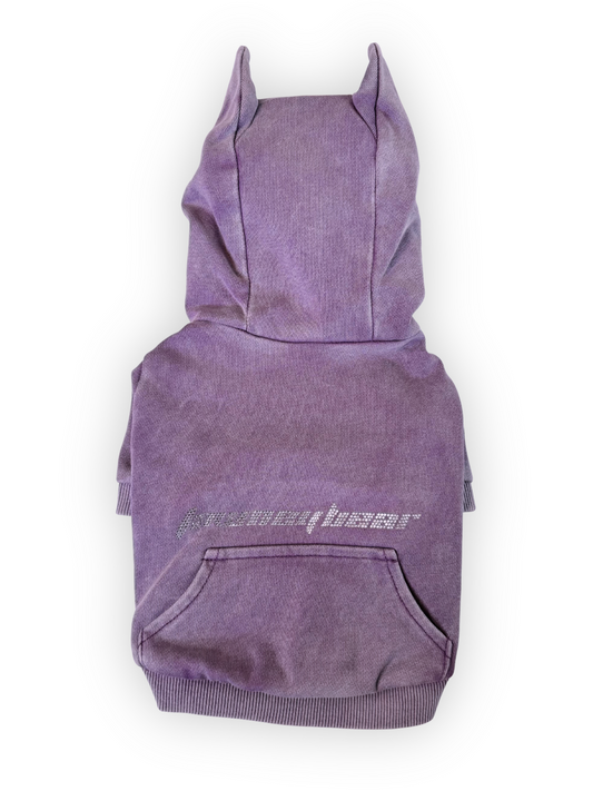 Front view of Pawster Tawney Bear rhinestone dog hoodie in purple with horns