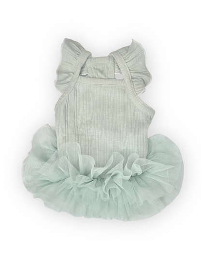 Back view of Pawster Tutu Much Cuteness Dog Dress in green
