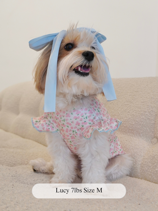  Small dog wearing a pink floral ruffle top sitting on a beige couch, modeling the Petal Kiss Top in size M