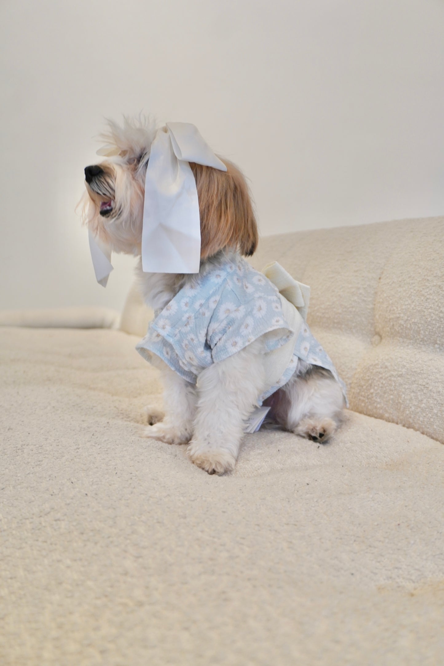 The Pawster floral dog outfit with soft fabric and bow, shown in side view on cream couch