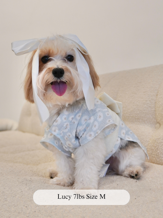 Small dog in daisy print ruffle dress with large back bow, designed by The Pawster