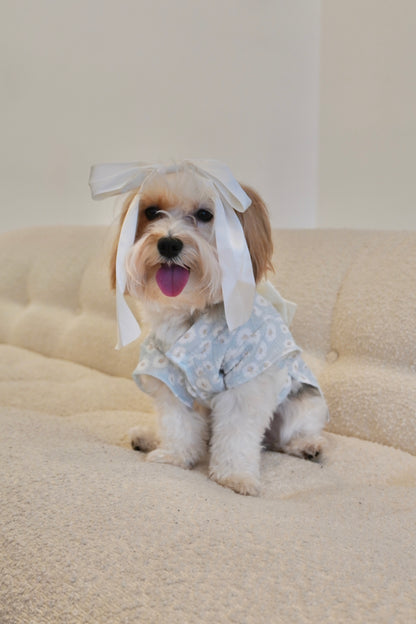 Small dog modeling pastel blue floral dress for dogs, styled with satin head bow