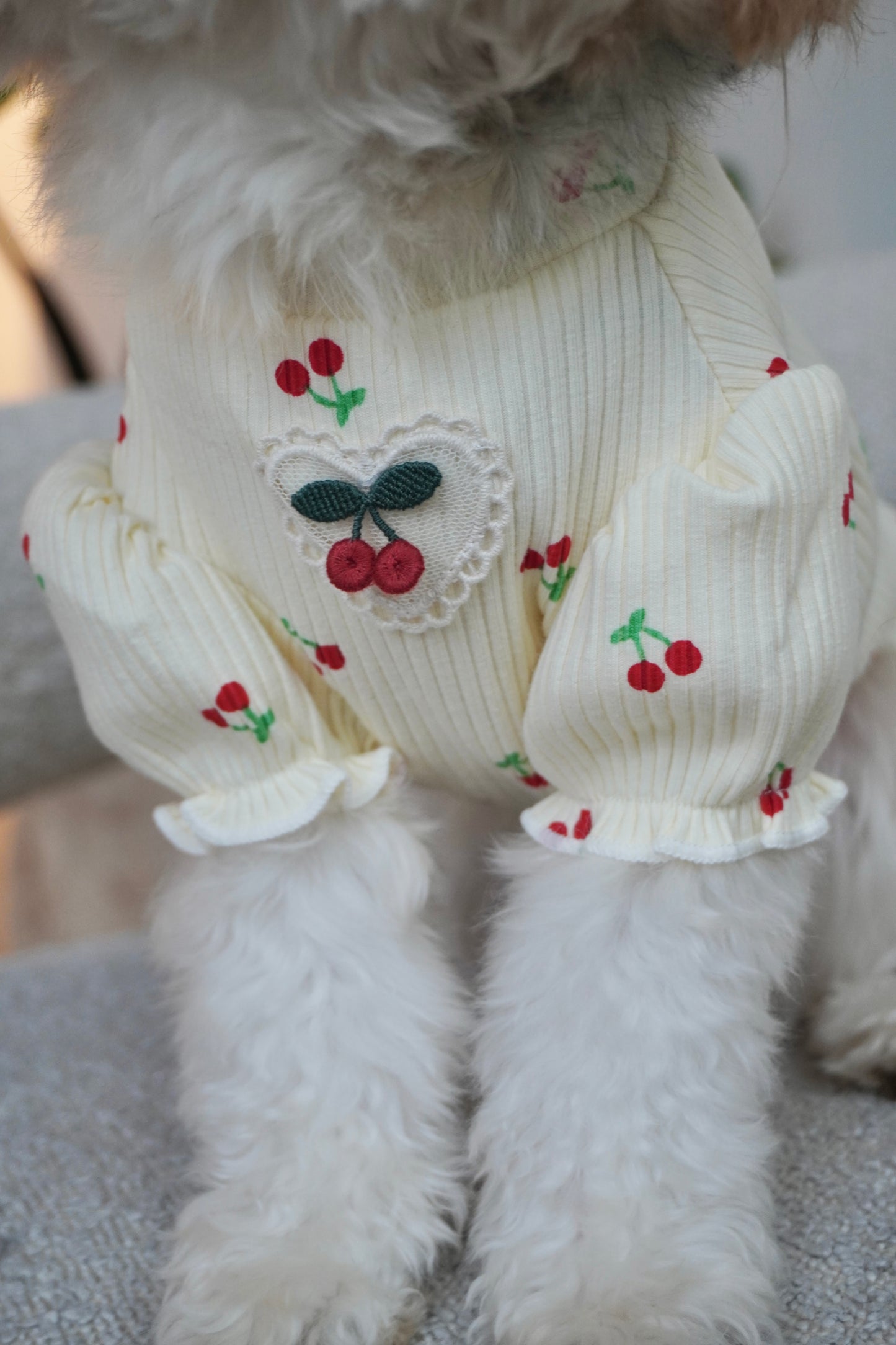 Close-up of cherry-embroidered cream ribbed dog top with heart-shaped patch and ruffled puff sleeves on fluffy white dog.