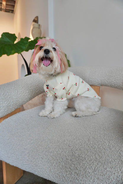 Small dog sitting on a boucle chair, smiling and wearing a cream cherry print dog top with puff sleeves and red gingham hair bow in a cozy indoor setting.