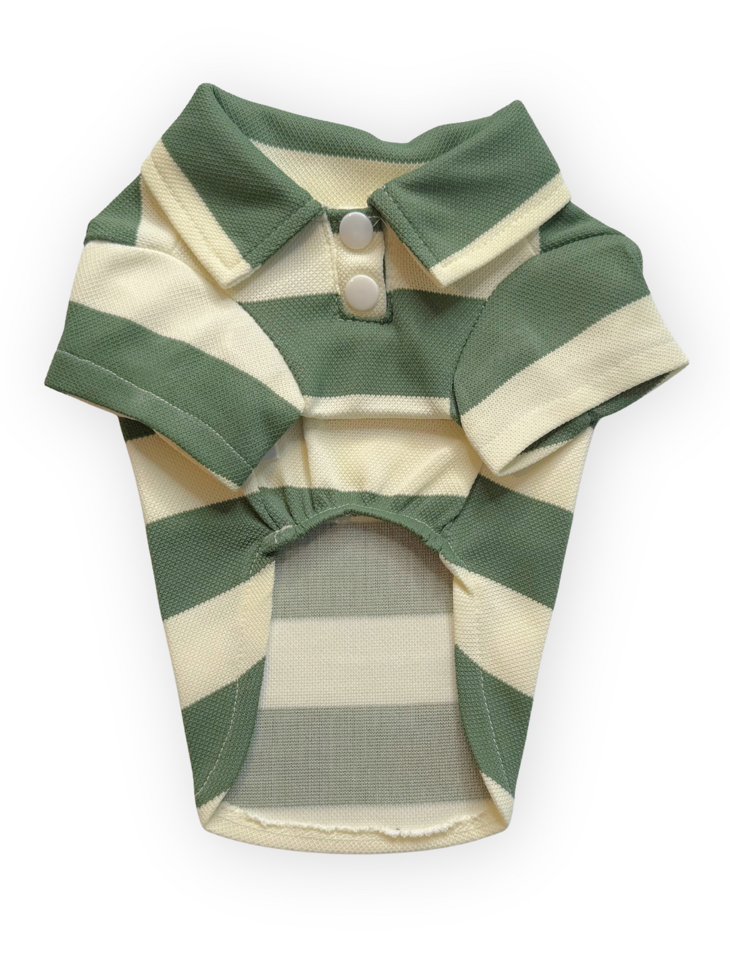 Green striped Country Club Polo Dog Top with short sleeves