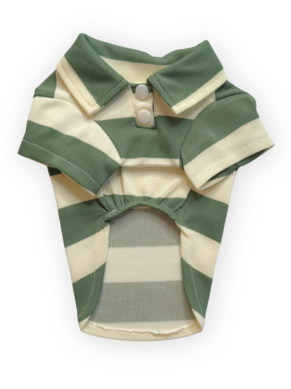 Green striped Country Club Polo Dog Top with short sleeves