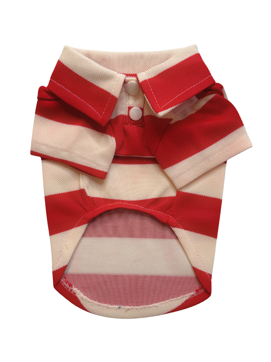 Red striped Country Club Polo Dog Top with snap buttons