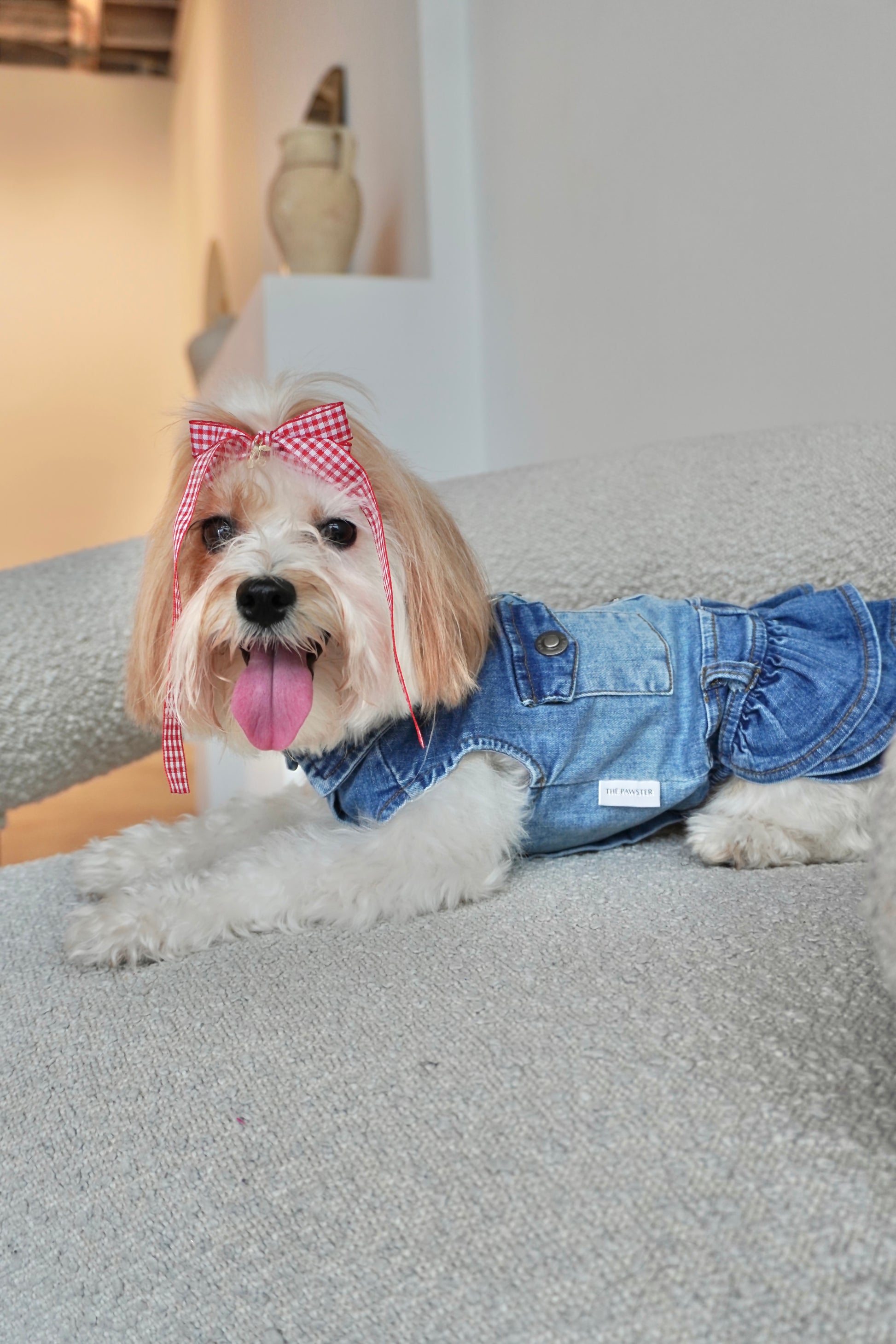 Small dog laying on boucle chair in a stretchy denim dog dress with flap pockets and ruffled skirt, smiling with tongue out and wearing a red gingham bow.