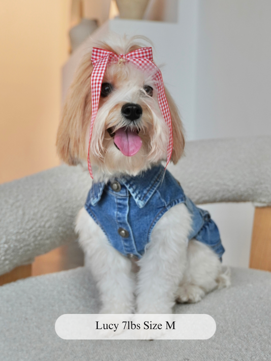 Small dog named Lucy wearing a stretchy denim dog dress with silver snap buttons and a ruffled skirt, shown sitting on a boucle chair. Wearing size medium.