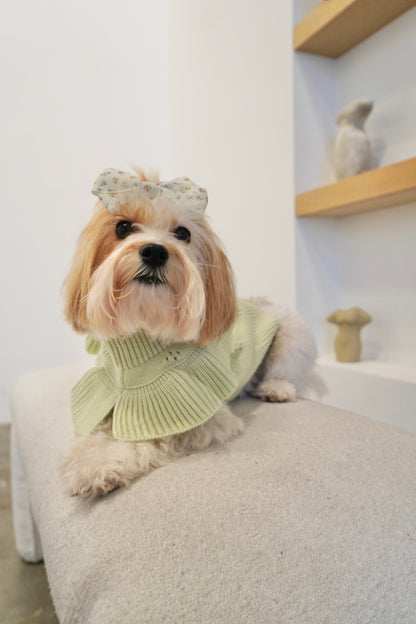 Small dog wearing a sage green lux knit ruffle dog sweater, laying on a beige bench, styled with a floral bow on its head.