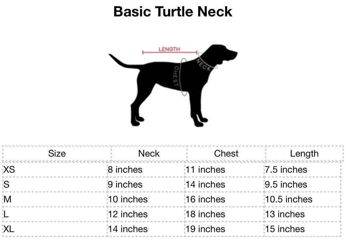 Basic Turtle Neck